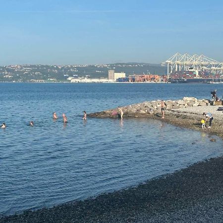 At Alex Apartments Koper Buitenkant foto